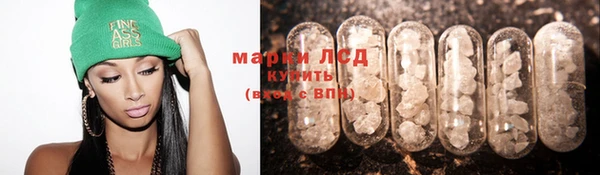 крисы Михайловск