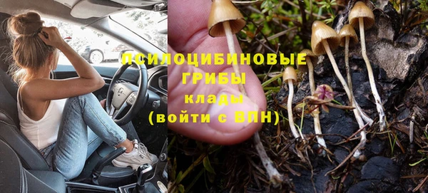 винт Михайлов