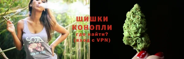 крисы Михайловск