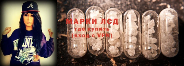 крисы Михайловск