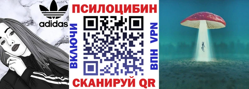 Купить где  Харовск  Псилоцибиновые грибы мицелий 